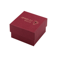 Футляр FB-010
